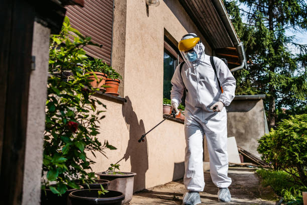 Best Pest Removal Services  in Seabrook, SC