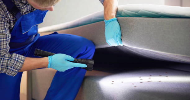 Best Pest Control Near Me  in Seabrook, SC