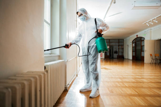 Best Rat Extermination Near Me  in Seabrook, SC