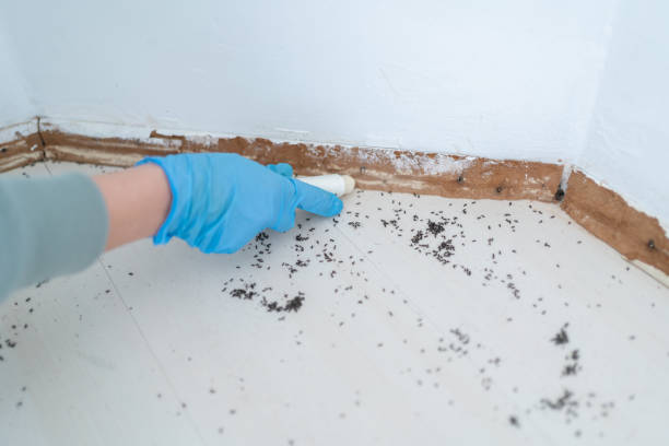 Seabrook, SC Pest Control Company
